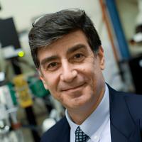 Gerard Ateshian, PhD